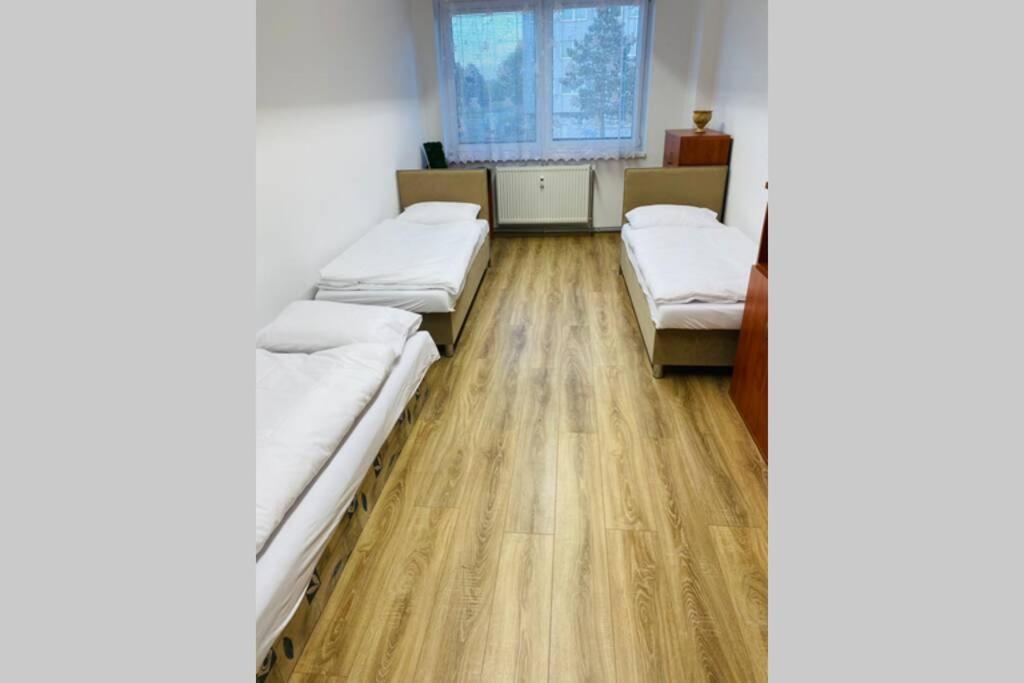Apartman Solax, Ucnovska 8, Kosice Saca מראה חיצוני תמונה